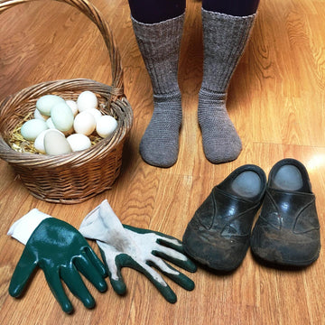 Farmer's Favorite Socks