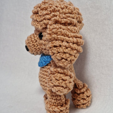 Poodle Dog