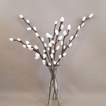 Pussy Willow Spray