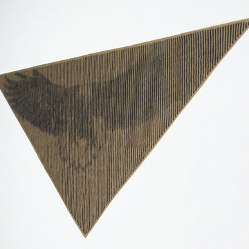 Eagle Illusion