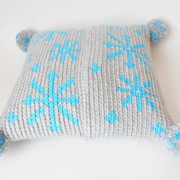 Winter Thrills Pillow Cover
