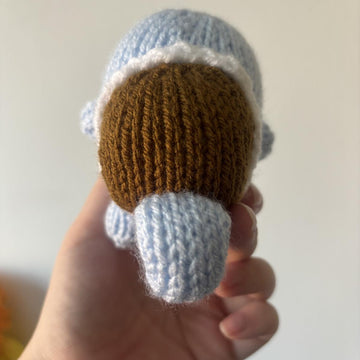 Baby Squirtle