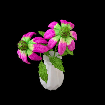 Crochet Echinacea/Cone flowers