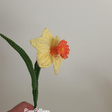 Mini Daffodil