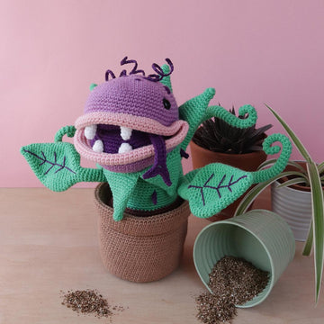 Clarence The Peckish Plant