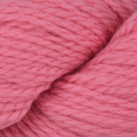 Shrimp (7804)
