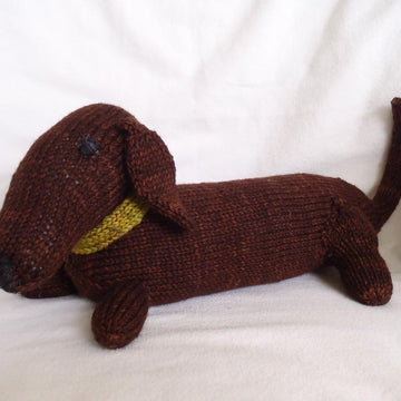 Jelly, the dachshund