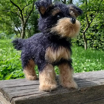Dog Yorkshire Terrier