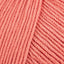 Coral (455)