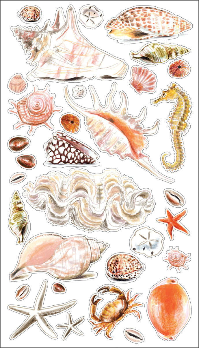 Sticko Stickers - Seashells & Sand
