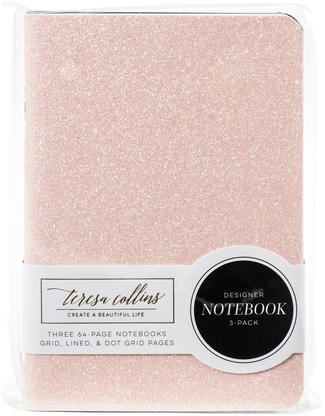 Teresa Collins Passport Notebooks Set 3.5"X5" 3/Pkg - You Got This