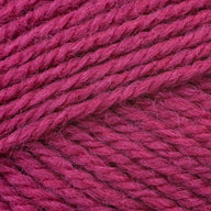 Fuchsia (2344)