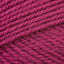 Fuchsia (2344)