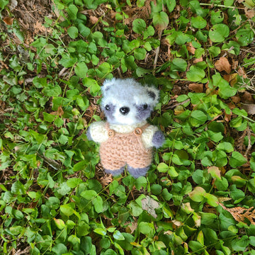 Remy the Raccoon