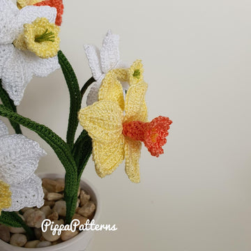 Mini Daffodil