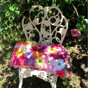 Gerbera Garden Blanket