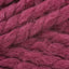 Raspberry (112)