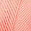 Salmon (23)