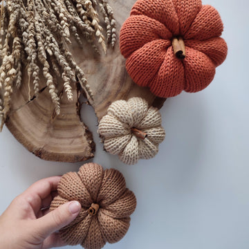 Pepo Pumpkin Patch