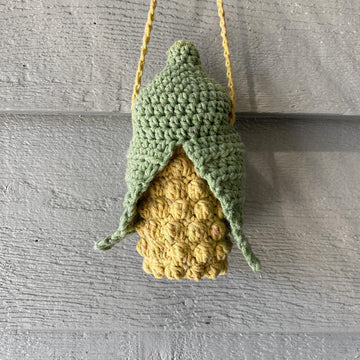 Corn Pouch