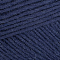 Blueberry (164)