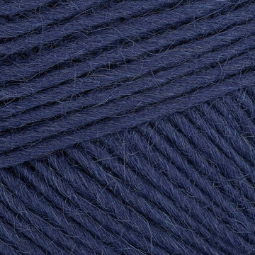 Blueberry (164)