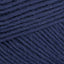 Blueberry (164)