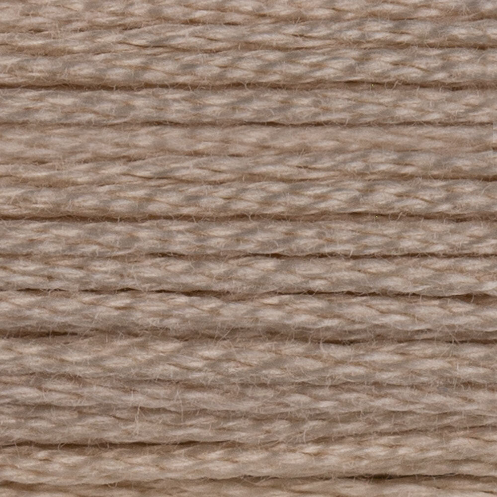 DMC 6 Strand Embroidery Floss - Neutrals