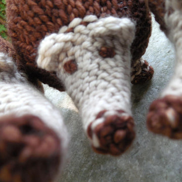Snout