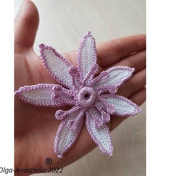 Lotus flower