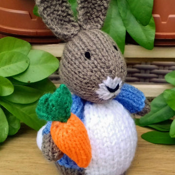 Rabbit with Carrot - Chocolate Orange Cover