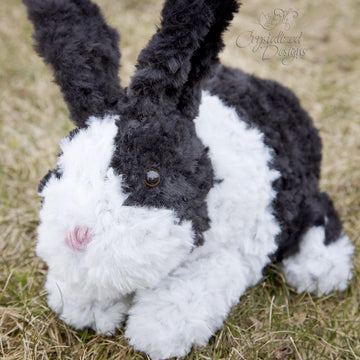 Odie the Bunny
