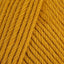 Mustard (006)