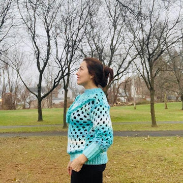 Sweet Beehives Sweater Net Pullover