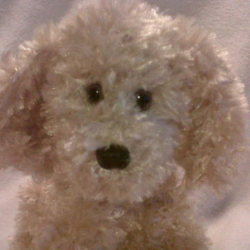 Pocket Puppy Dog