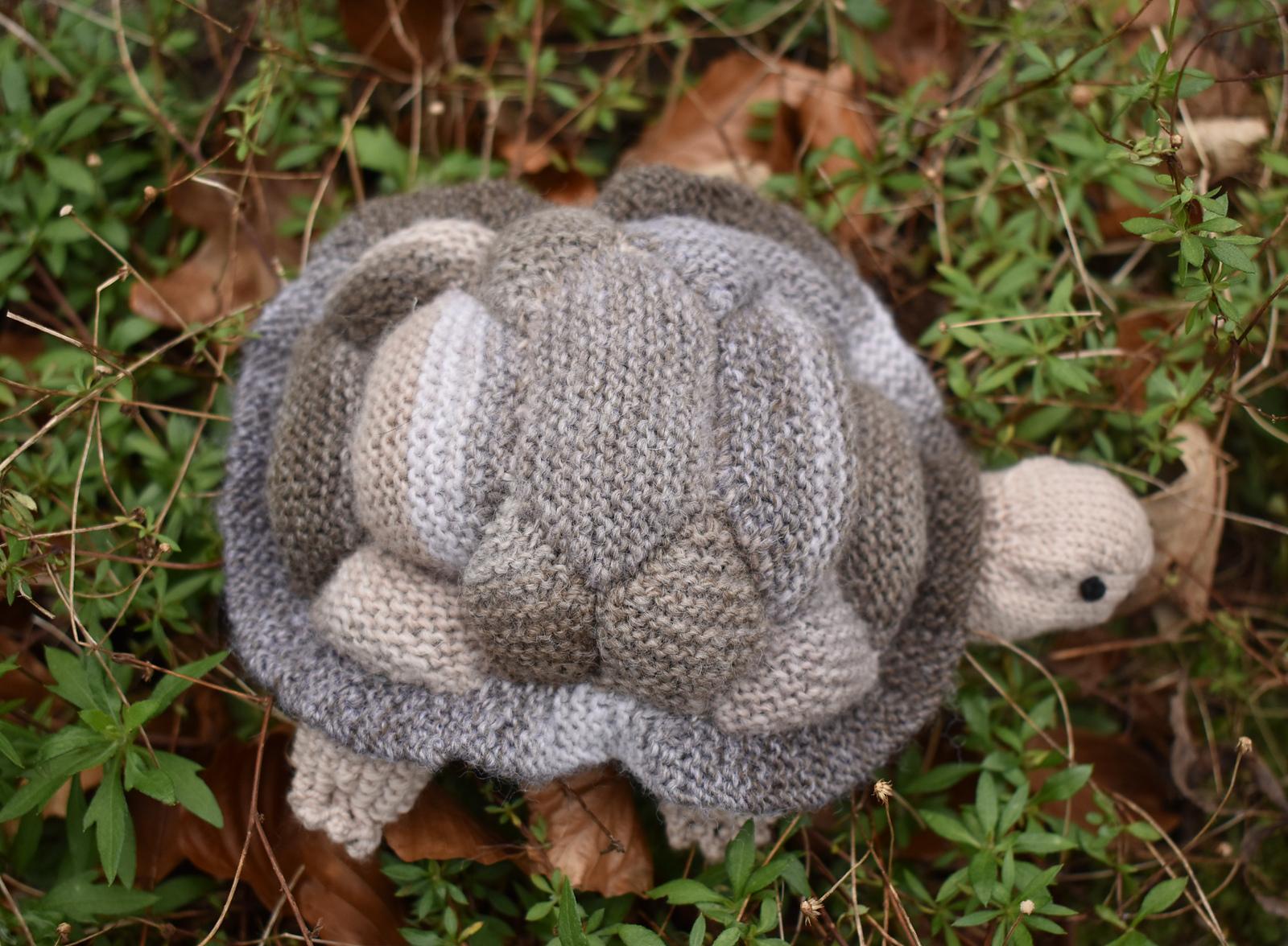 Tortoise