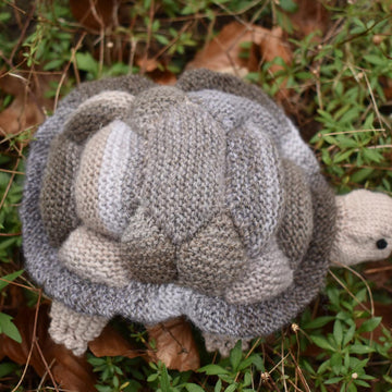 Tortoise