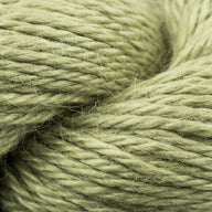 Kiwi (131)