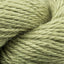 Kiwi (131)