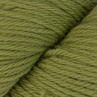 Turtle Green (22)