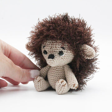 Baby Hedgehog