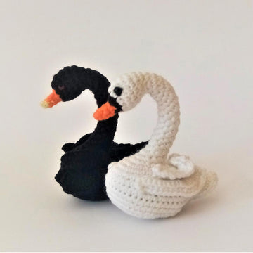 Swan
