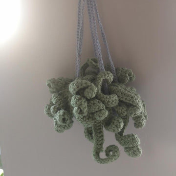 Hanging spiritual plant