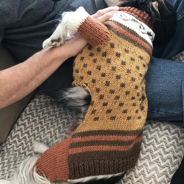 Stylin' Rescue Pup Sweater
