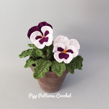 Pansy & Viola
