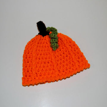 Pumpkin Beanie / Fall / Halloween Hat