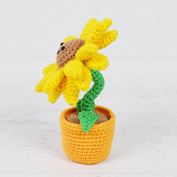 Potted Sunflower
