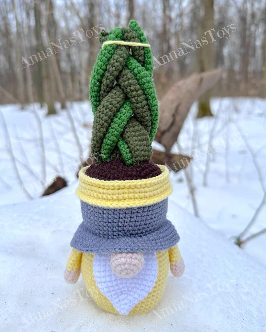 Gnome succulent-sansevieria 2