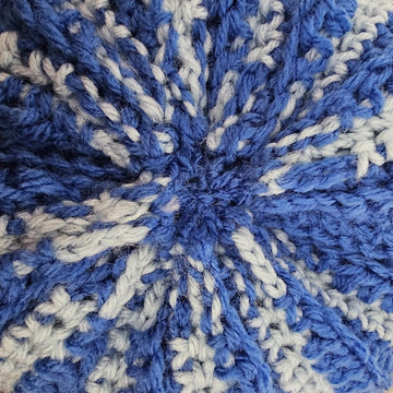 Blue Beauty Cactus Pillow