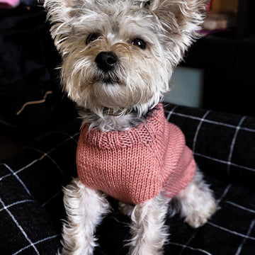 Cable Doggo Sweater